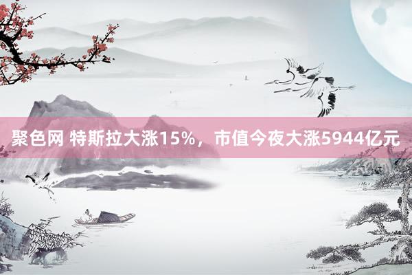 聚色网 特斯拉大涨15%，市值今夜大涨5944亿元