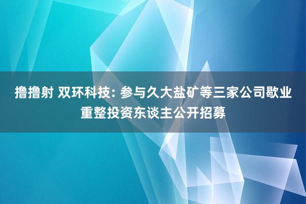 撸撸射 双环科技: 参与久大盐矿等三家公司歇业重整投资东谈主公开招募