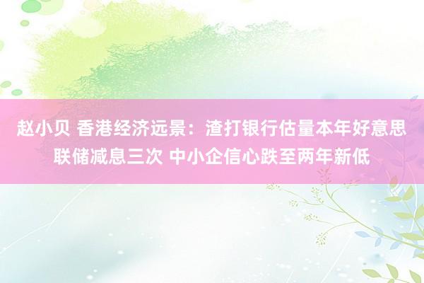 赵小贝 香港经济远景：渣打银行估量本年好意思联储减息三次 中小企信心跌至两年新低
