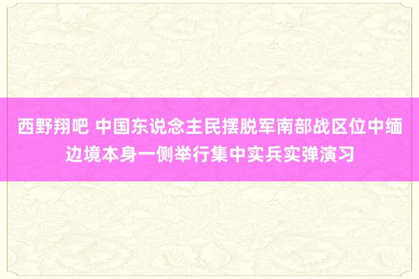 西野翔吧 中国东说念主民摆脱军南部战区位中缅边境本身一侧举行集中实兵实弹演习