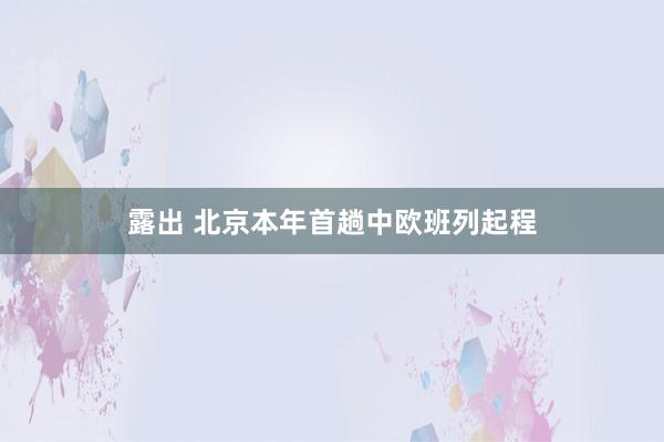露出 北京本年首趟中欧班列起程