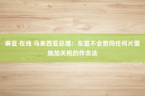 麻豆 在线 马来西亚总理：东盟不会赞同任何片面施加关税的作念法