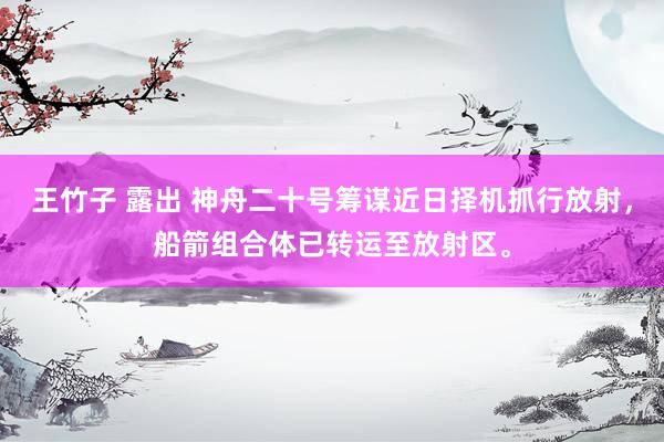 王竹子 露出 神舟二十号筹谋近日择机抓行放射，船箭组合体已转运至放射区。