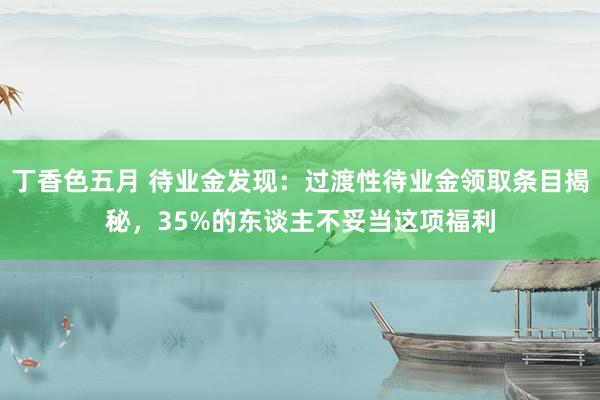 丁香色五月 待业金发现：过渡性待业金领取条目揭秘，35%的东谈主不妥当这项福利