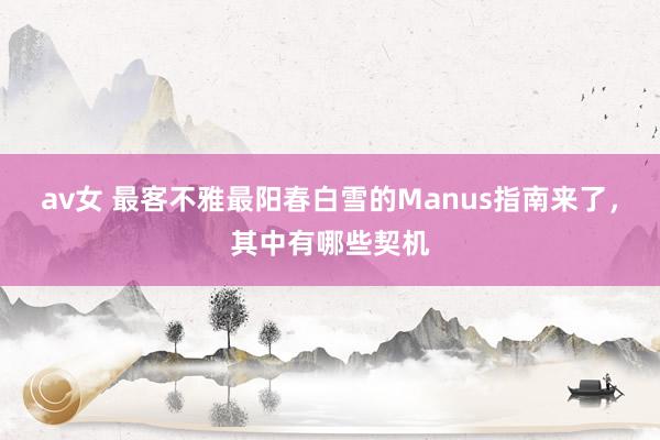 av女 最客不雅最阳春白雪的Manus指南来了，其中有哪些契机