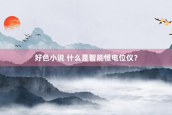 好色小说 什么是智能恒电位仪？