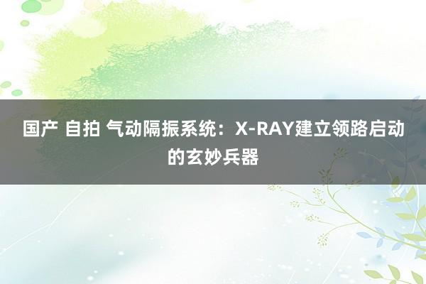 国产 自拍 气动隔振系统：X-RAY建立领路启动的玄妙兵器