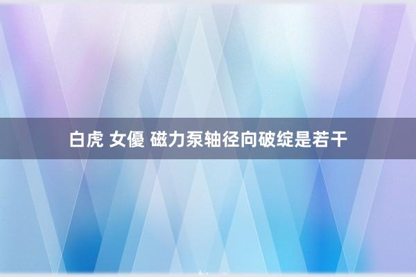 白虎 女優 磁力泵轴径向破绽是若干
