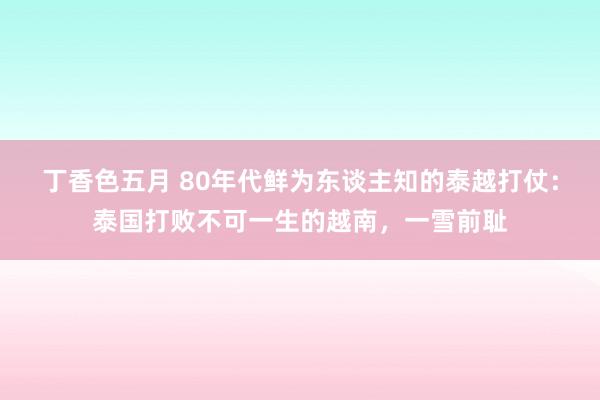 丁香色五月 80年代鲜为东谈主知的泰越打仗：泰国打败不可一生的越南，一雪前耻