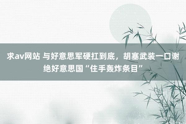 求av网站 与好意思军硬扛到底，胡塞武装一口谢绝好意思国“住手轰炸条目”