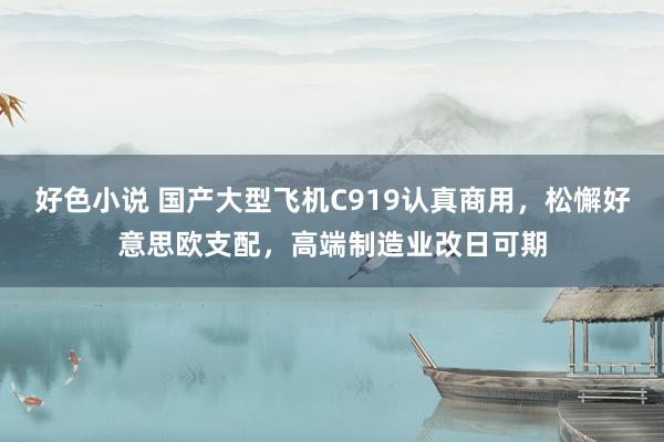 好色小说 国产大型飞机C919认真商用，松懈好意思欧支配，高端制造业改日可期