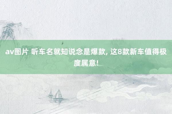 av图片 听车名就知说念是爆款, 这8款新车值得极度属意!