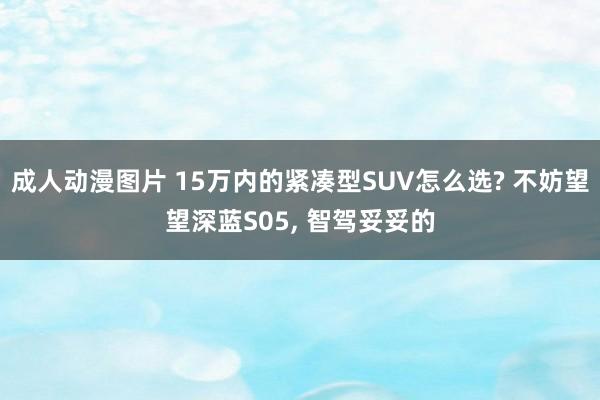 成人动漫图片 15万内的紧凑型SUV怎么选? 不妨望望深蓝S05, 智驾妥妥的