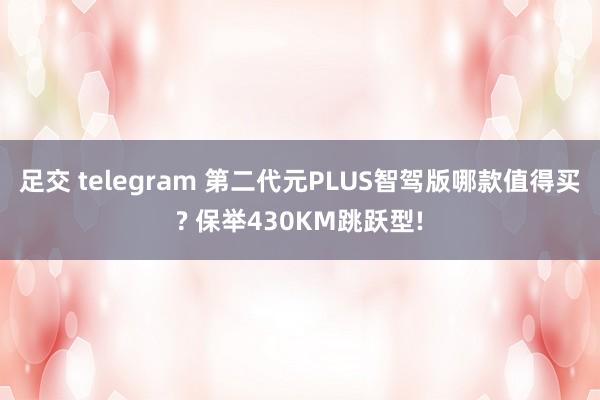 足交 telegram 第二代元PLUS智驾版哪款值得买? 保举430KM跳跃型!