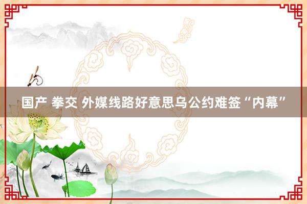 国产 拳交 外媒线路好意思乌公约难签“内幕”