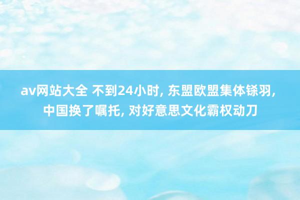 av网站大全 不到24小时, 东盟欧盟集体铩羽, 中国换了嘱托, 对好意思文化霸权动刀