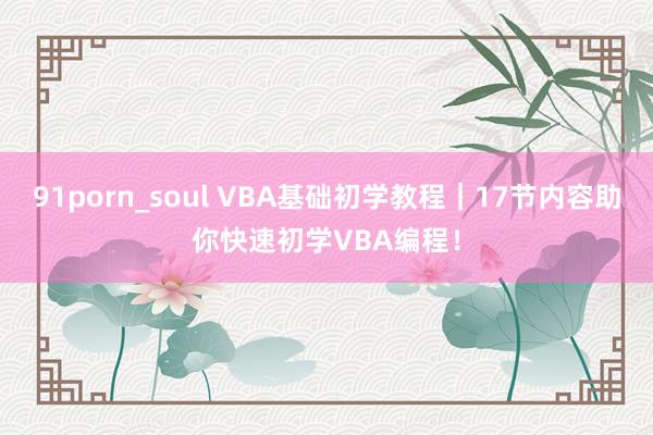 91porn_soul VBA基础初学教程｜17节内容助你快速初学VBA编程！