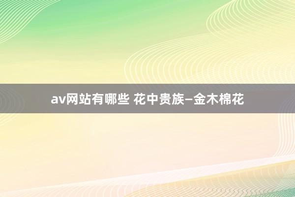 av网站有哪些 花中贵族—金木棉花