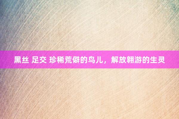黑丝 足交 珍稀荒僻的鸟儿，解放翱游的生灵