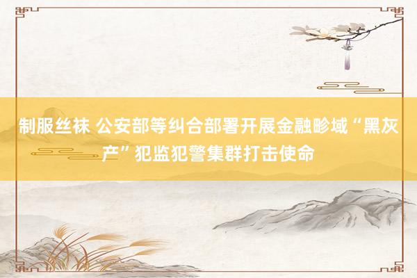 制服丝袜 公安部等纠合部署开展金融畛域“黑灰产”犯监犯警集群打击使命