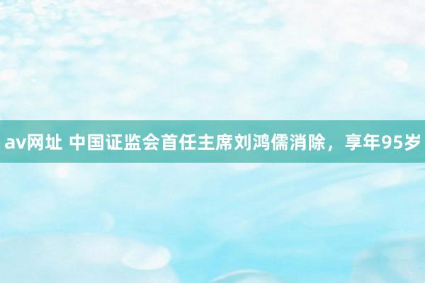 av网址 中国证监会首任主席刘鸿儒消除，享年95岁