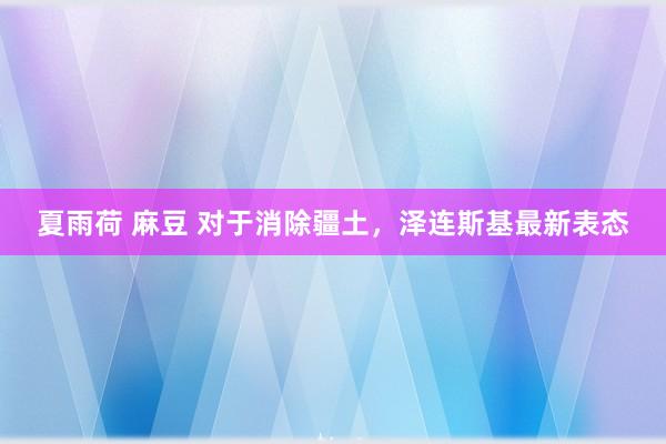 夏雨荷 麻豆 对于消除疆土，泽连斯基最新表态