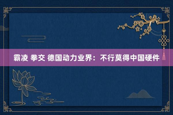 霸凌 拳交 德国动力业界：不行莫得中国硬件